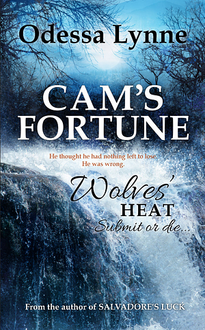 Cam's Fortune by Odessa Lynne