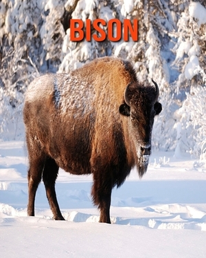 Bison: Learn About Bison and Enjoy Colorful Pictures by Diane Jackson