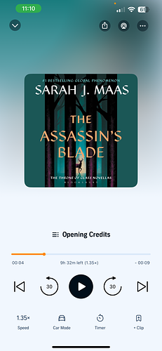 The Assassin's Blade by Sarah J. Maas