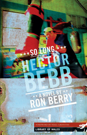 So Long, Hector Bebb by Niall Griffiths, Ron Berry