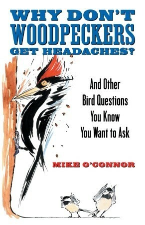 Why Don't Woodpeckers Get Headaches?: And Other Bird Questions You Know You Want to Ask by Mike O'Connor