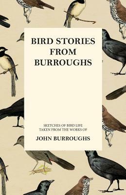 Bird Stories from Burroughs - Sketches of Bird Life Taken from the Works of John Burroughs by John Burroughs