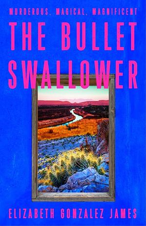 The Bullet Swallower by Elizabeth Gonzalez James