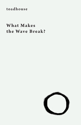 What Makes the Wave Break? by Toadhouse, Allan Graham