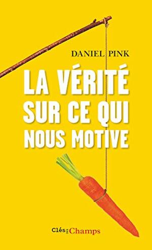 La vérité sur ce qui nous motive by Daniel H. Pink