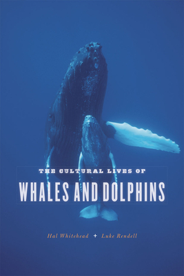 The Cultural Lives of Whales and Dolphins by Luke Rendell, Hal Whitehead