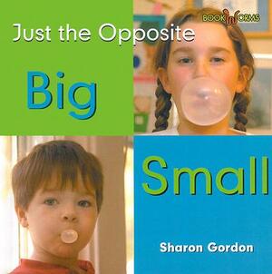 Big/Small by Sharon Gordon