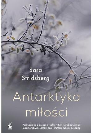 Antarktyka miłości by Wojciech Łygaś, Sara Stridsberg