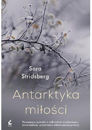 Antarktyka miłości by Sara Stridsberg, Wojciech Łygaś