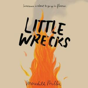 Little Wrecks by Meredith Miller