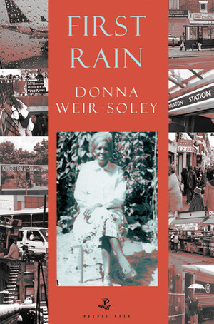 First Rain by Donna Weir-Soley