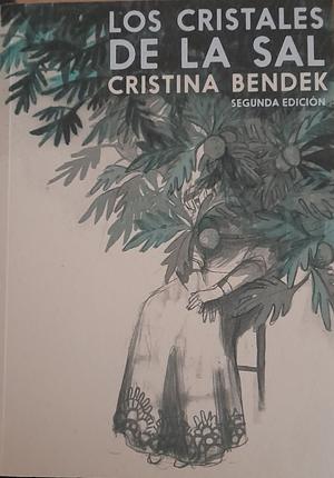 Los Cristales de la Sal by Cristina Bendek