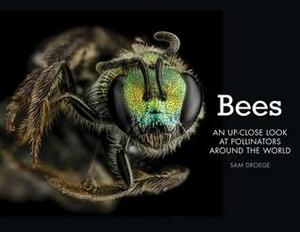 Bees: An Up-Close Look at Pollinators Around the World by Sam Droege