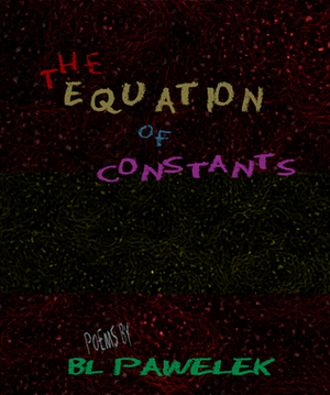 The Equation of Constants by B.L. Pawelek