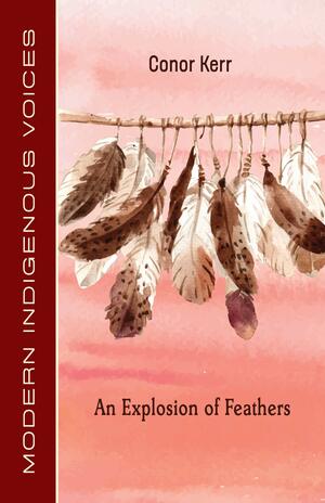 An Explosion of Feathers by Conor Kerr