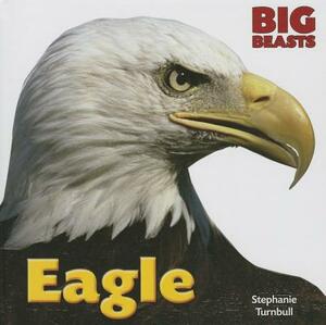 Eagle by Stephanie Turnbull