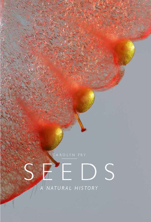 Seeds: A Natural History by Carolyn Fry