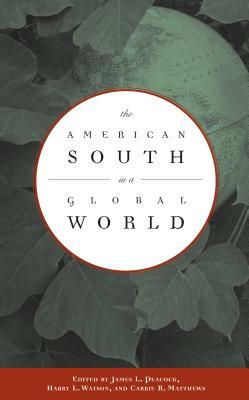 The American South in a Global World by 