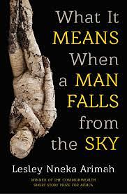 What it Means When a Man Falls from the Sky by Lesley Nneka Arimah