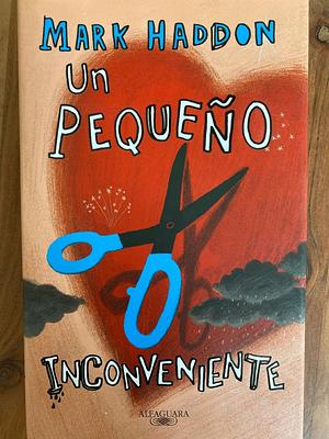 Un pequeño inconveniente by Mark Haddon