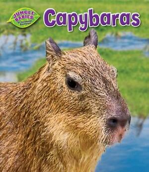 Capybaras by Rachel Lynette