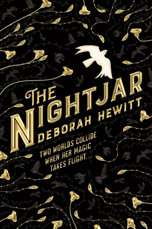 The Nightjar by Deborah Hewitt