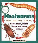 Mealworms: Raise them, watch them, see them change by Adrienne Mason