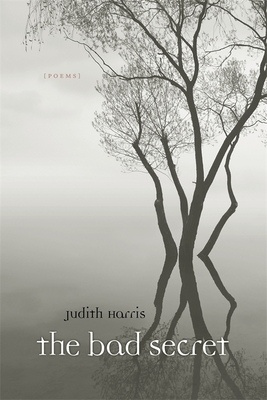 The Bad Secret: Poems by Judith Harris