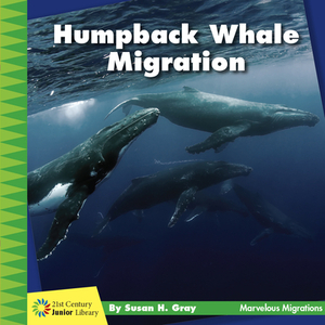 Humpback Whale Migration by Susan H. Gray
