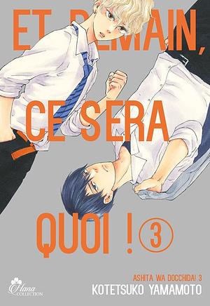 Et Demain Ca Sera Quoi ! - Tome 03 - Livre (Manga) - Yaoi - Hana Collection by Kotetsuko Yamamoto