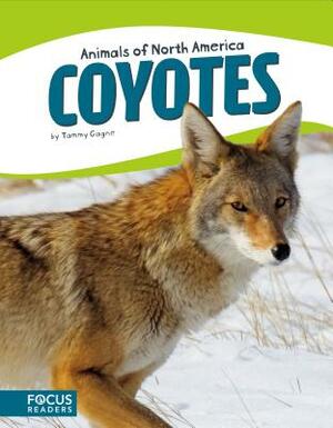 Coyotes by Tammy Gagne