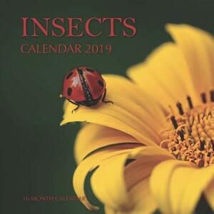 Insects Calendar 2019: 16 Month Calendar by Mason Landon