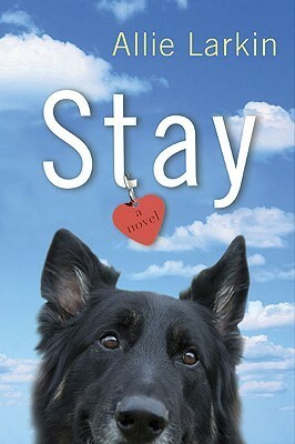 Stay by Allie Larkin