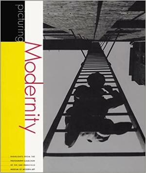Picturing Modernity by Douglas R. Nickel