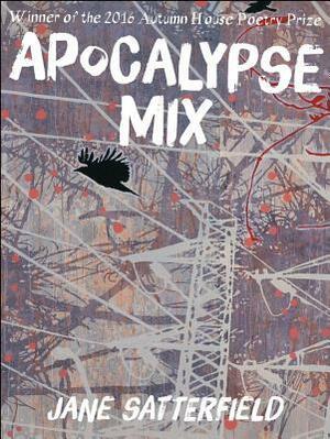 Apocalypse Mix by Jane Satterfield