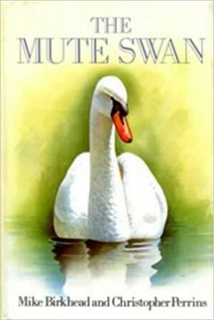 Mute Swan by Christopher M. Perrins