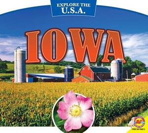 Iowa by Anita Yasuda