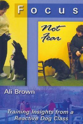 Focus, Not Fear: Training Insights from a Reactive Dog Class by Ali Brown