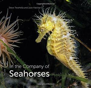 In the Company of Seahorses by Steve Trewhella, Julie Hatcher