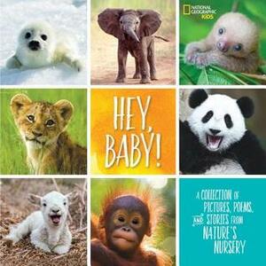 Hey, Baby!: A Collection of Pictures, Poems, and Stories from Nature's Nursery by Stephanie Warren Drimmer, National Geographic Kids