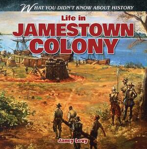 Life in Jamestown Colony by Janey Levy