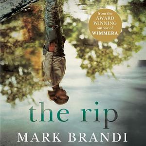 The Rip by Mark Brandi