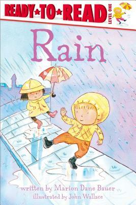 Rain by Marion Dane Bauer