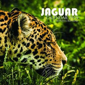 Jaguar Calendar 2019: 16 Month Calendar by Mason Landon