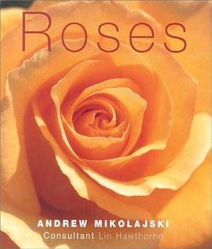 Roses by Andrew Mikolajski