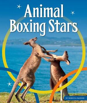 Animal Boxing Stars by Rebecca Barone