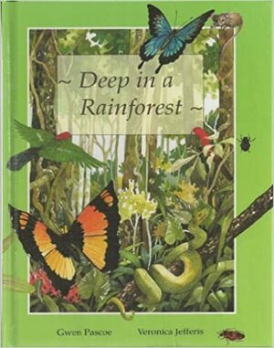 Deep in a Rainforest by Gwen Pascoe