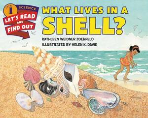 What Lives in a Shell? by Kathleen Weidner Zoehfeld