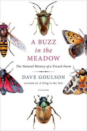 A Buzz in the Meadow by Dave Goulson