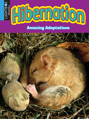 Hibernation by Pamela McDowell